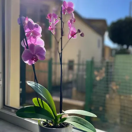Perfect Location Apartment